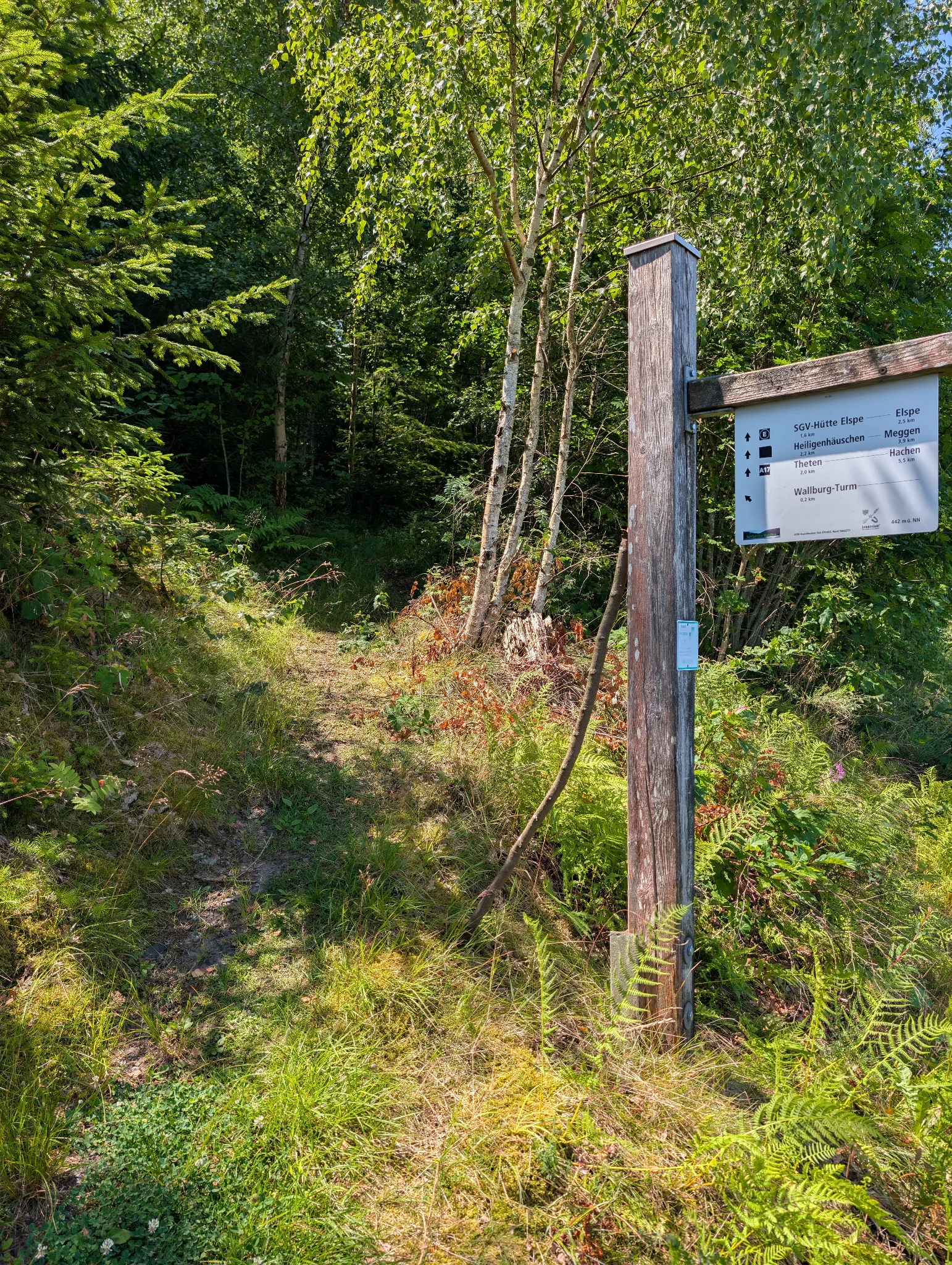 Another signpost, with a small (but clearly visible) path leading up the hill to the left
