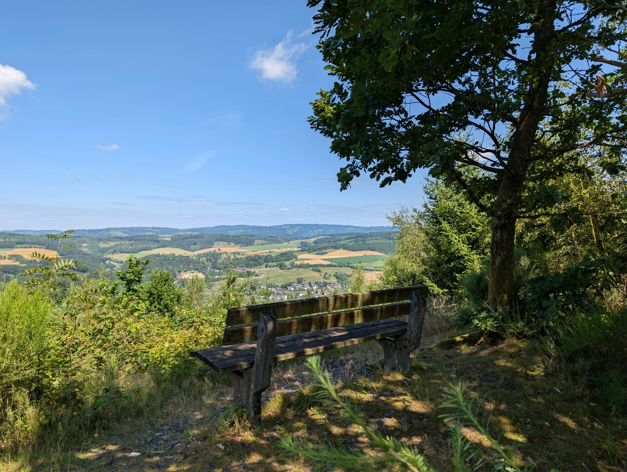 A pretty well-hidden bench with a view