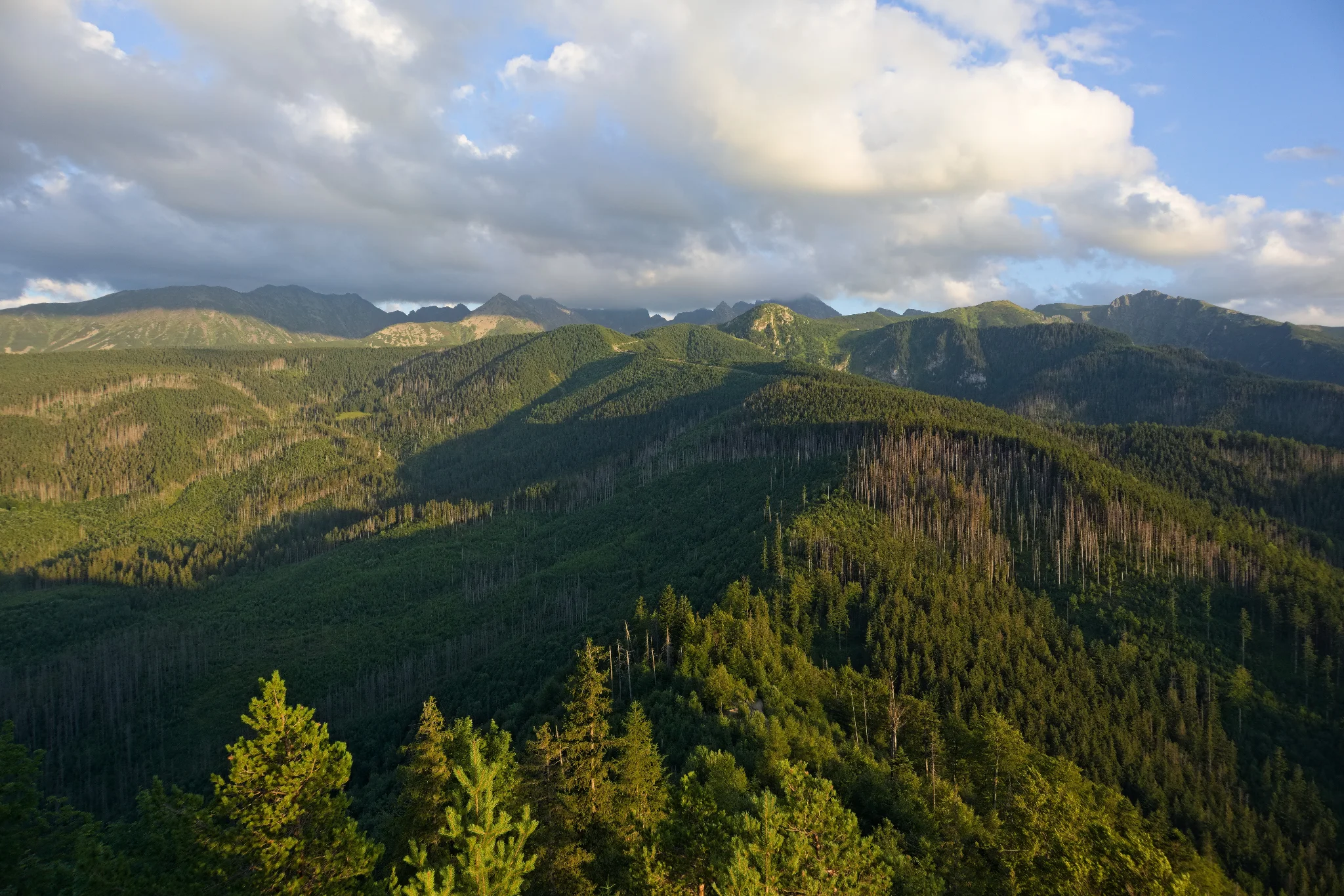 Part of the Carpathian Mountains (going up to 2,000 m n.p.m.) as seen from Nosal (1,200 m n.p.m.). Everything is lush and green (apart from the mountaintops beyond the tree line), the clouds are hanging along the ridge, and there is hardly any trace of civilization visible.