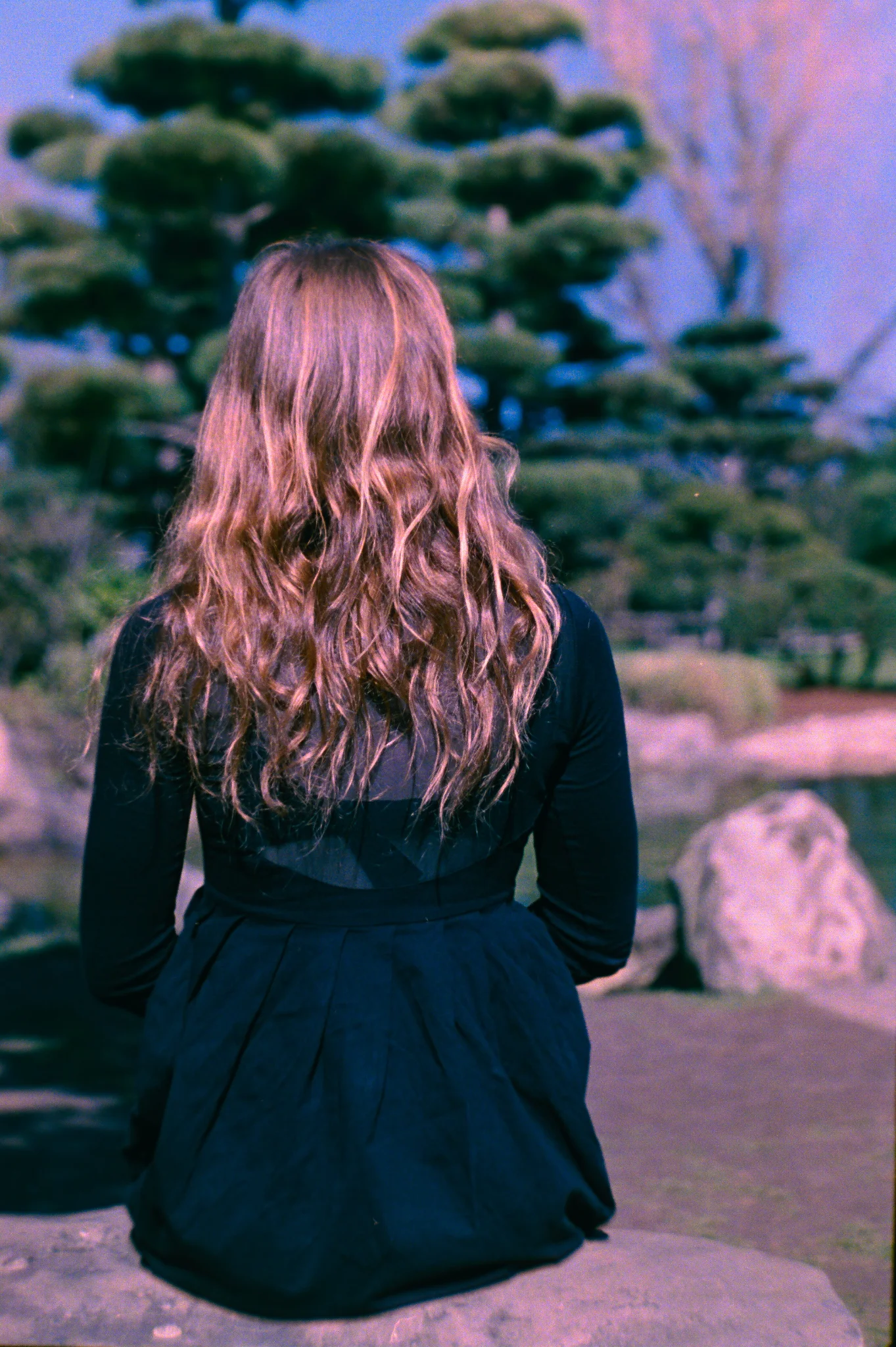 Backside shot of derf, sitting on a rock, showing lots of curly hair with some naturally (dis)coloured strands